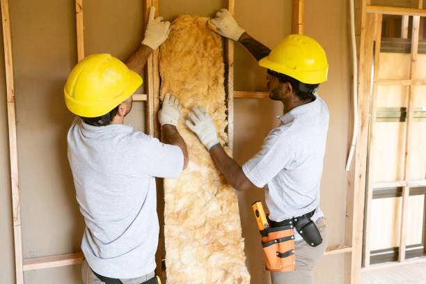 Professional Insulation in Battle Creek, NE